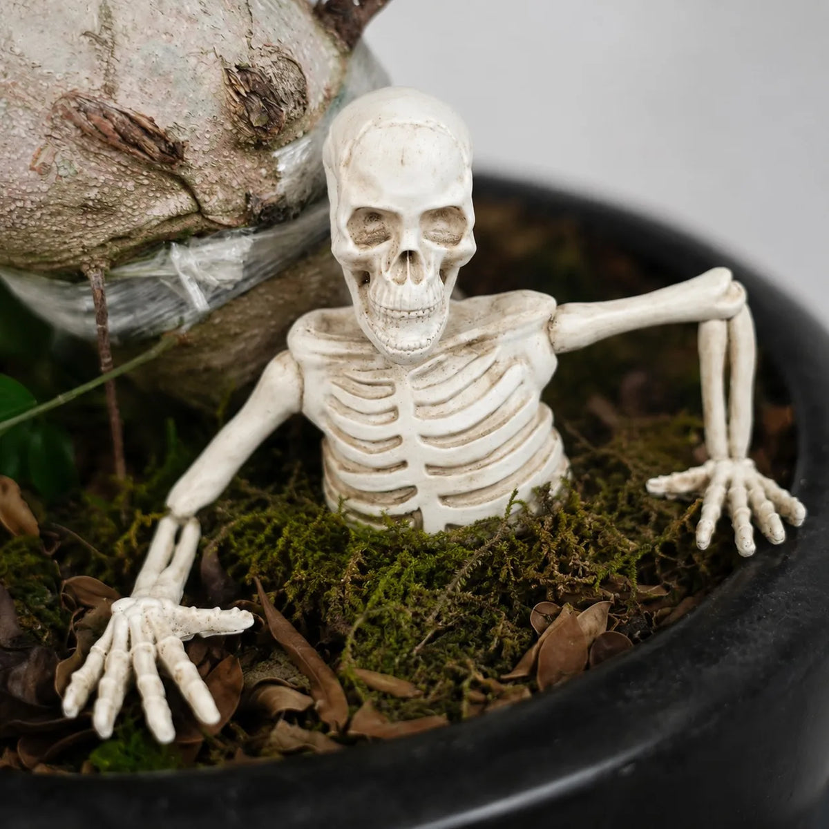 Halloween Half-body Skull Bonsai Decoration Half Body Skeleton Decoration for Halloween Indoor Outdoor Yard Decor Prop