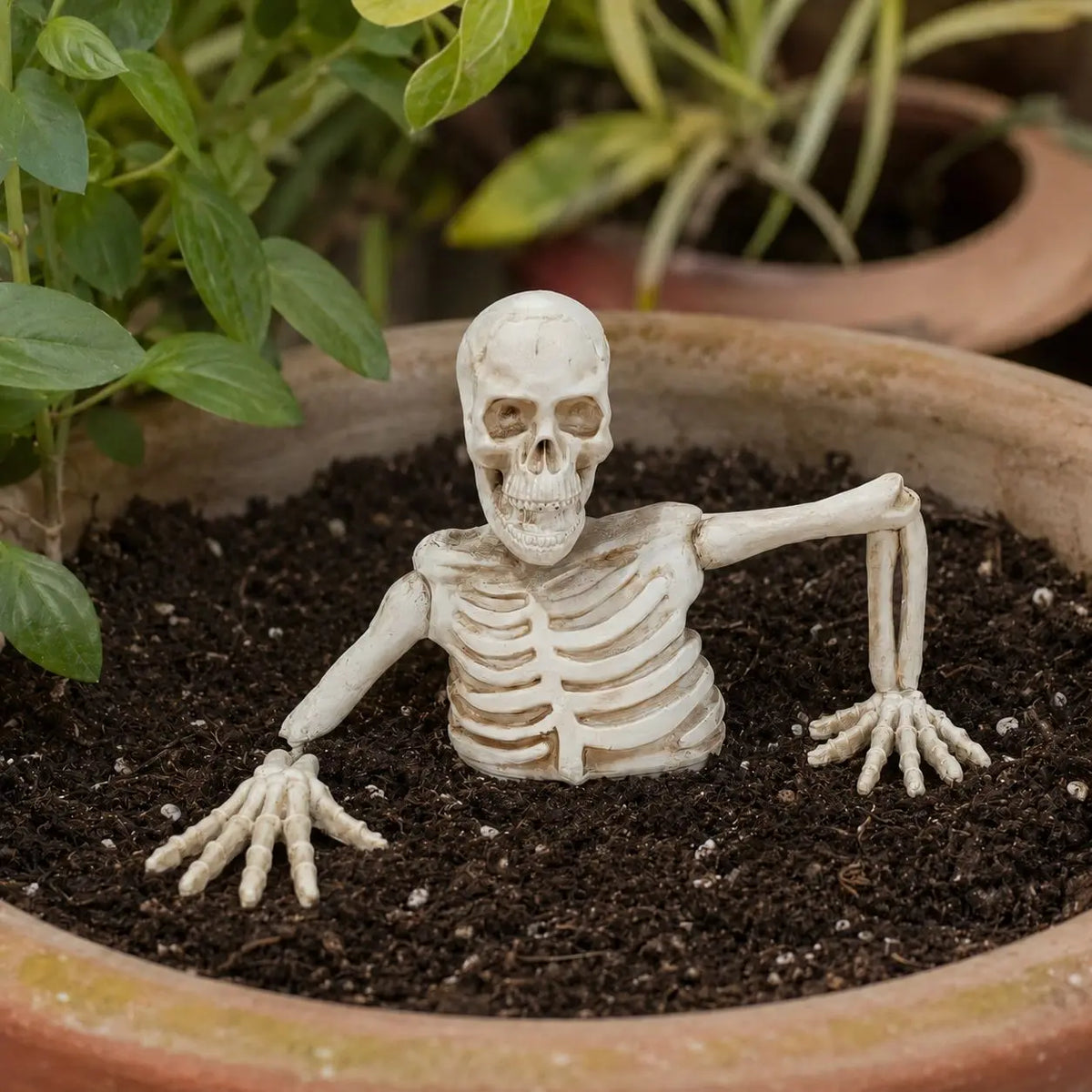 Halloween Half-body Skull Bonsai Decoration Half Body Skeleton Decoration for Halloween Indoor Outdoor Yard Decor Prop