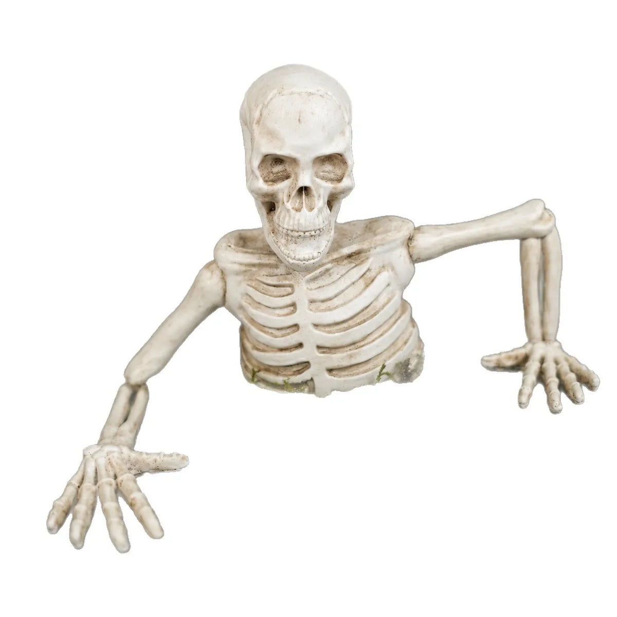 Halloween Half-body Skull Bonsai Decoration Half Body Skeleton Decoration for Halloween Indoor Outdoor Yard Decor Prop